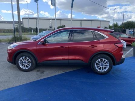 FORD Kuga 2.0 EcoBlue 150ch mHEV Titanium à vendre à Bourges - Image n°8