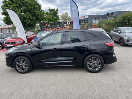FORD Kuga 1.5 EcoBlue 120ch ST-Line Business Powershift à vendre à Dijon - Image n°8