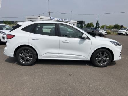 FORD Kuga 2.5 Duratec 190ch FHEV E85 ST-Line BVA à vendre à Orléans - Image n°4
