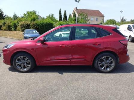 FORD Kuga 2.5 Duratec 190ch FHEV E85 ST-Line BVA à vendre à Orléans - Image n°8