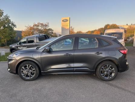 FORD Kuga 2.5 Duratec 225ch PHEV ST-Line BVA à vendre à Dole - Image n°8